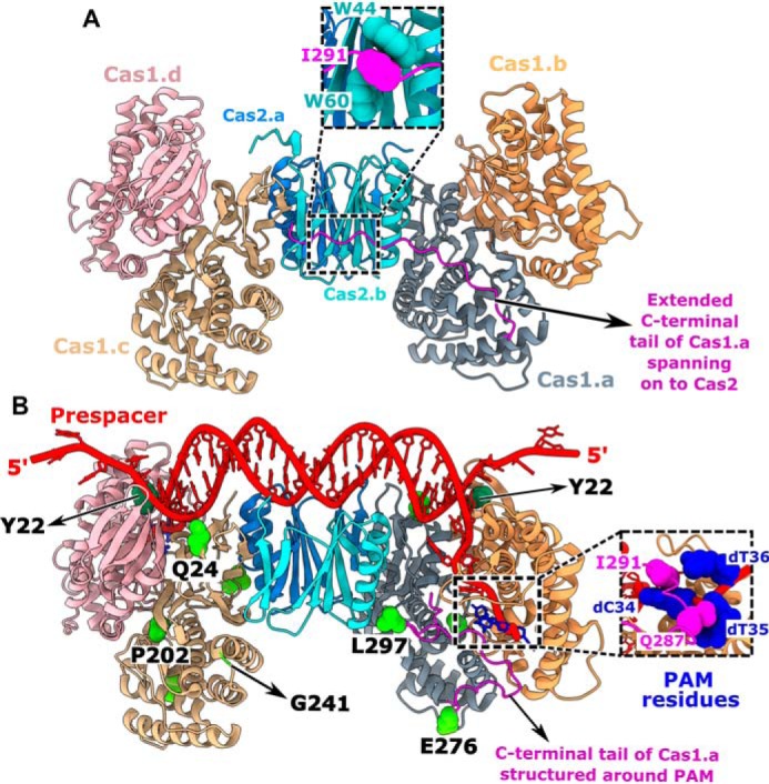 Figure 4.