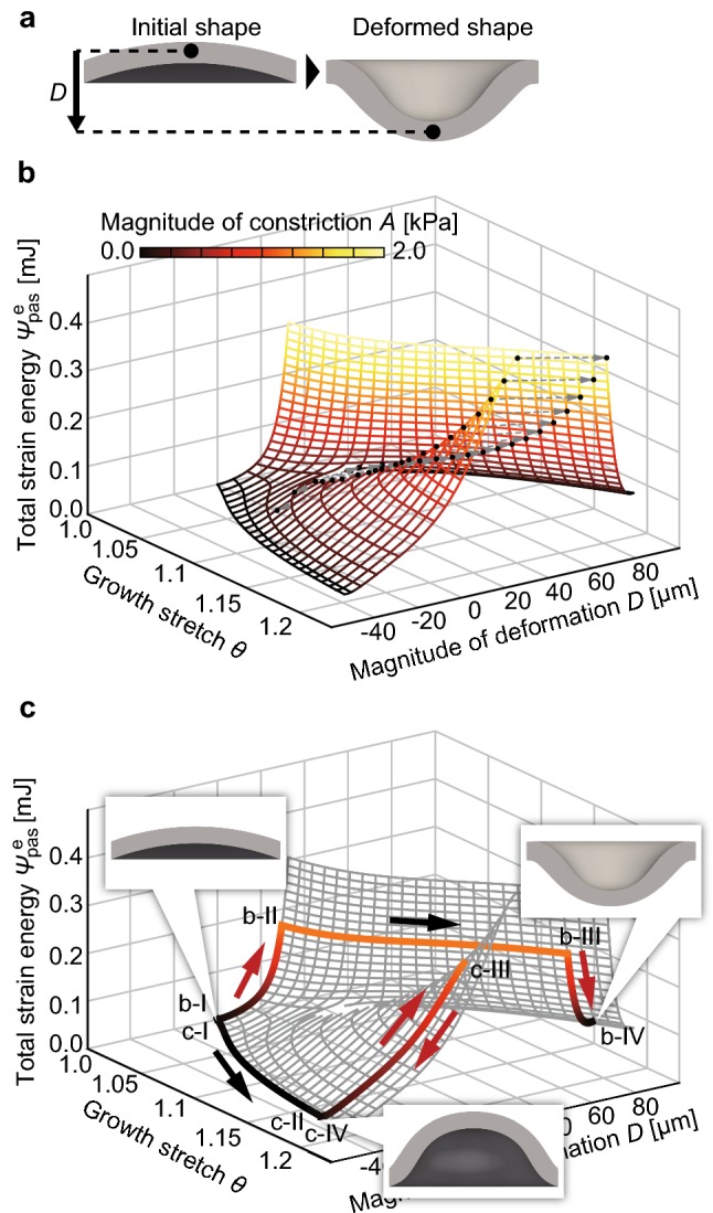 Fig. 2