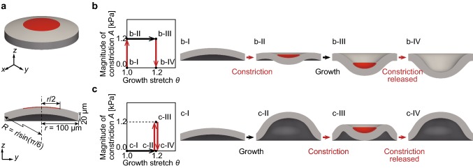 Fig. 1