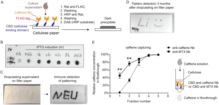 FIG 4