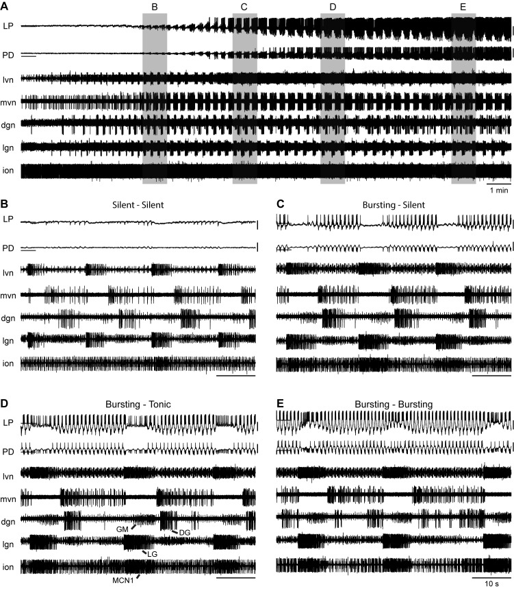 Figure 5.