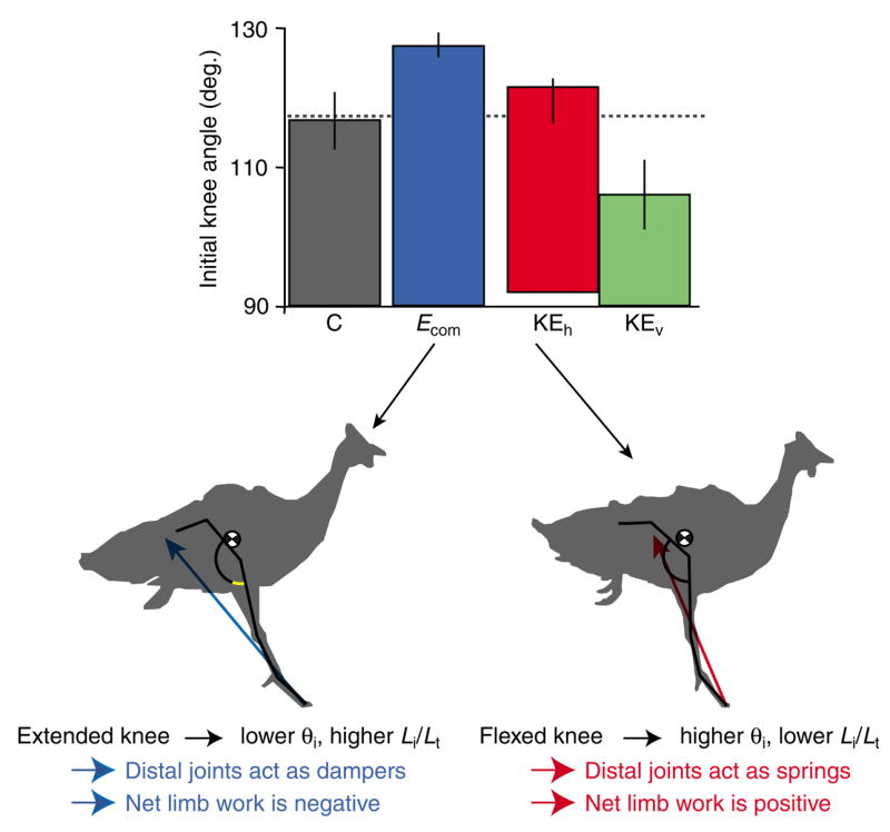 Fig. 9