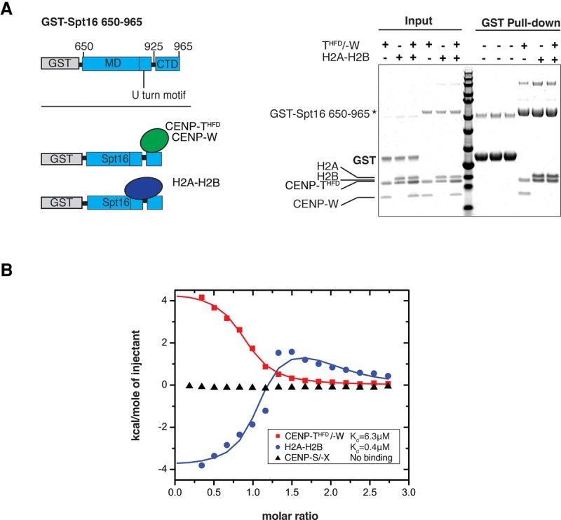 Figure 4.