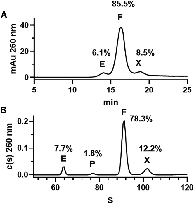 Figure 6