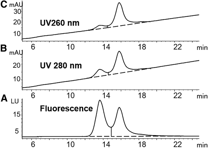 Figure 5