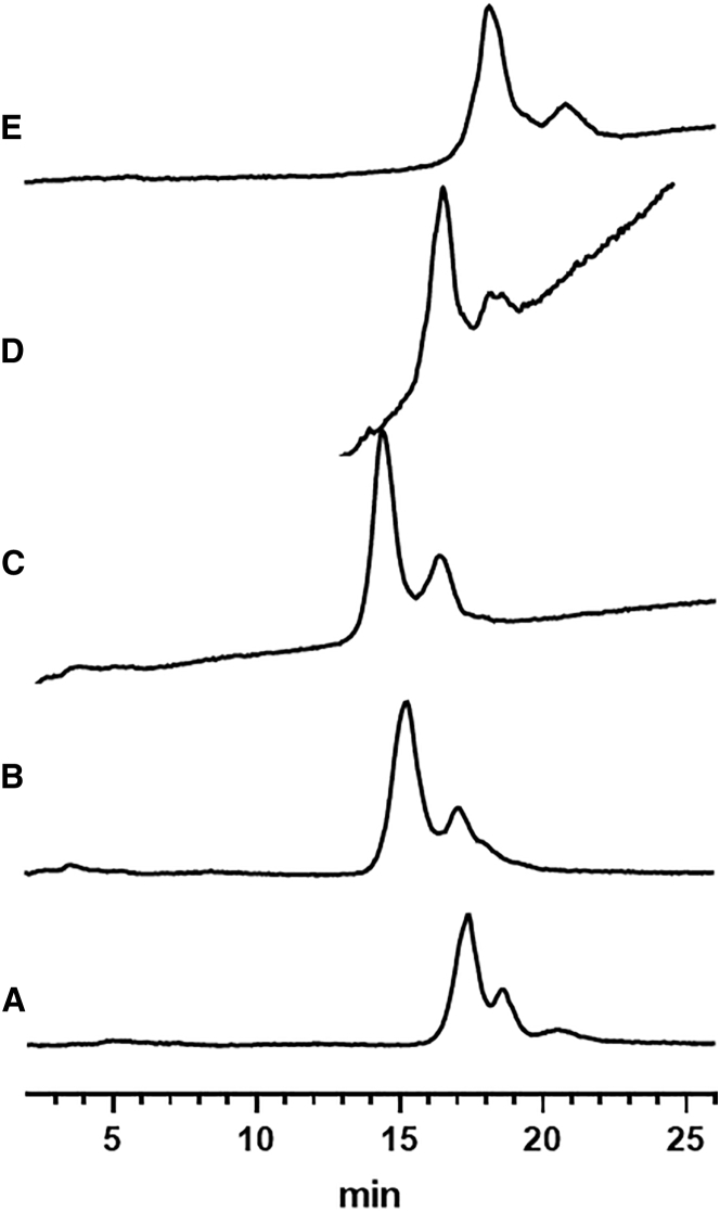 Figure 2