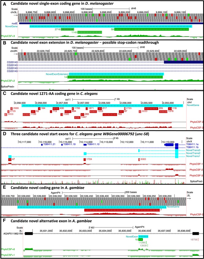 Figure 4.