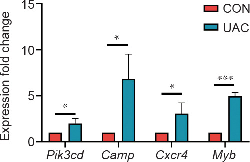 Figure 6.