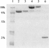 FIG. 5.