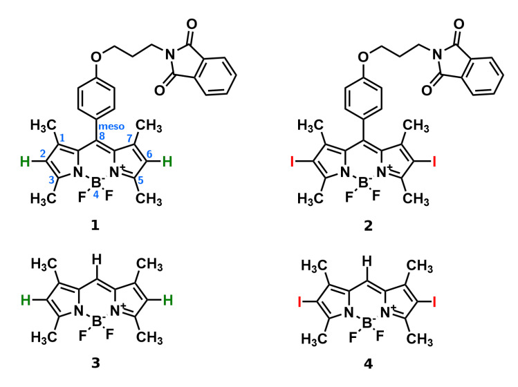 Photochemical Properties and Stability of BODIPY Dyes - PMC