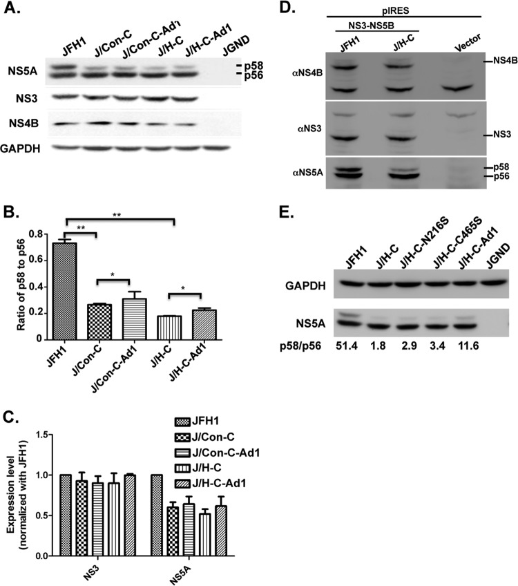 Fig 7