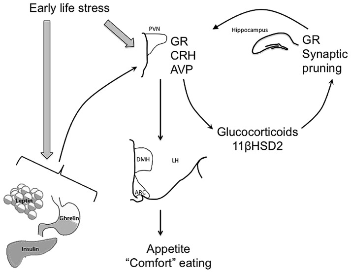FIGURE 1
