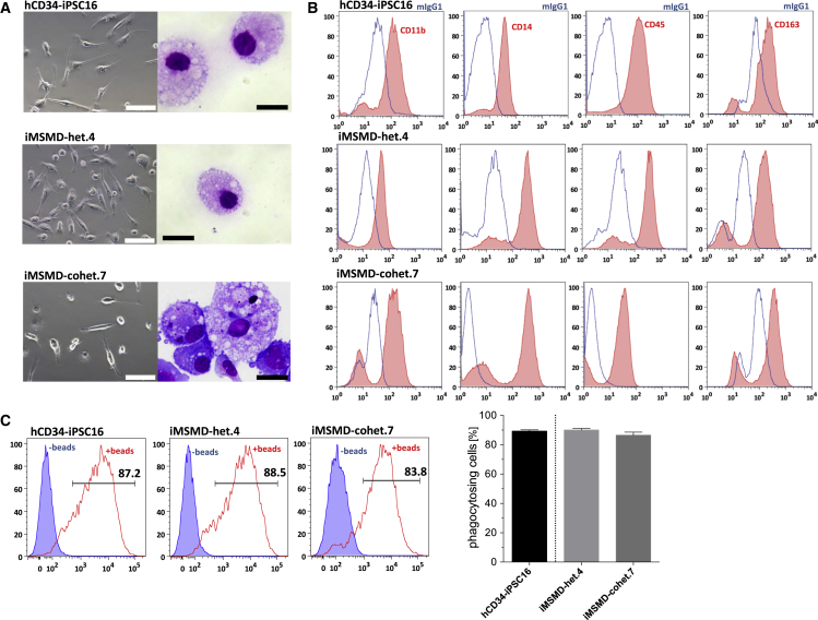 Figure 3