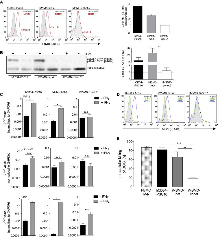 Figure 4