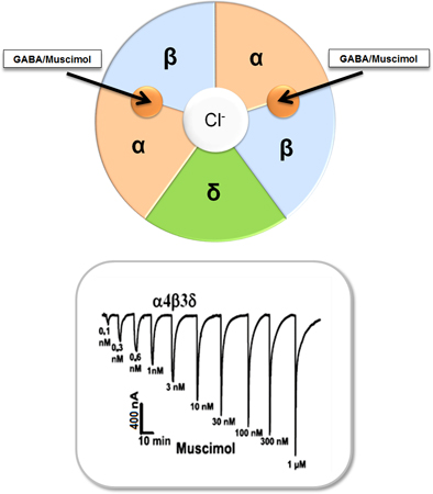 graphic file with name nihms-1002746-f0001.jpg