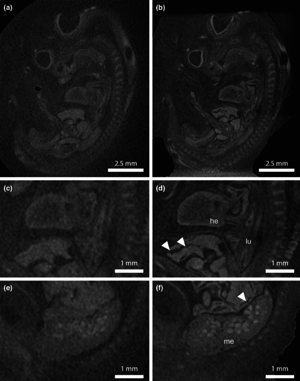 FIGURE 3