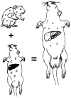 Fig. 2