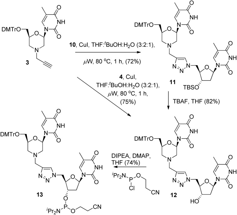 Scheme 3