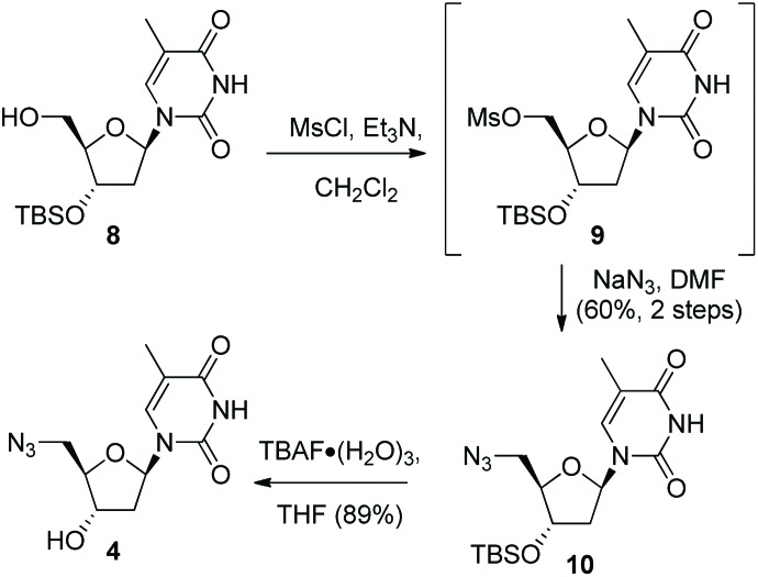 Scheme 2