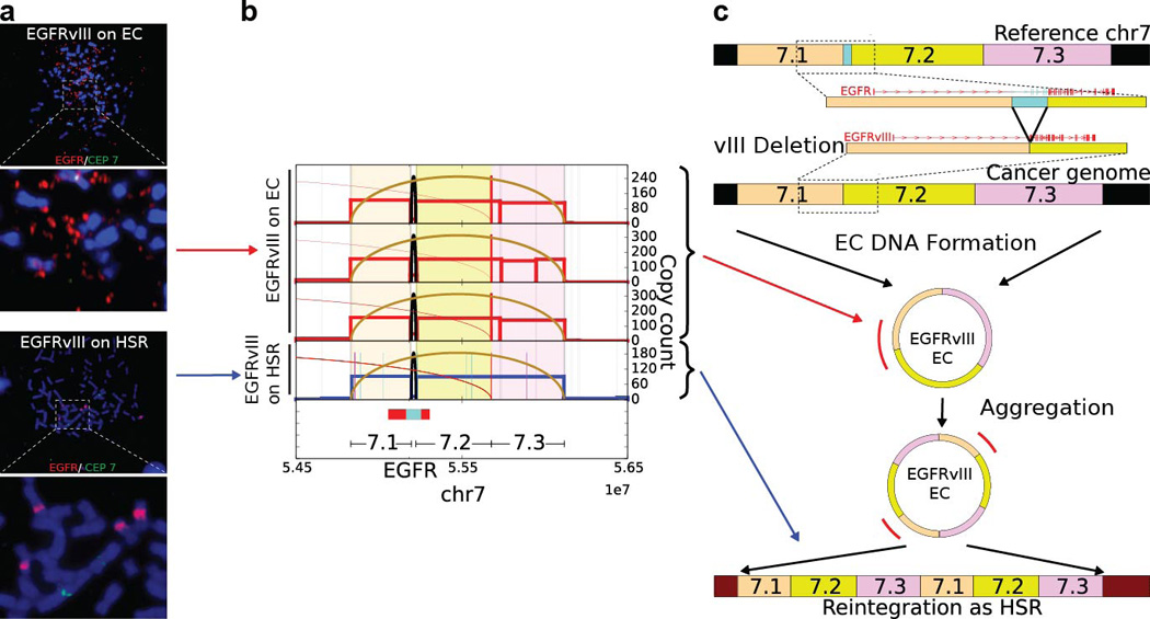 Figure E8