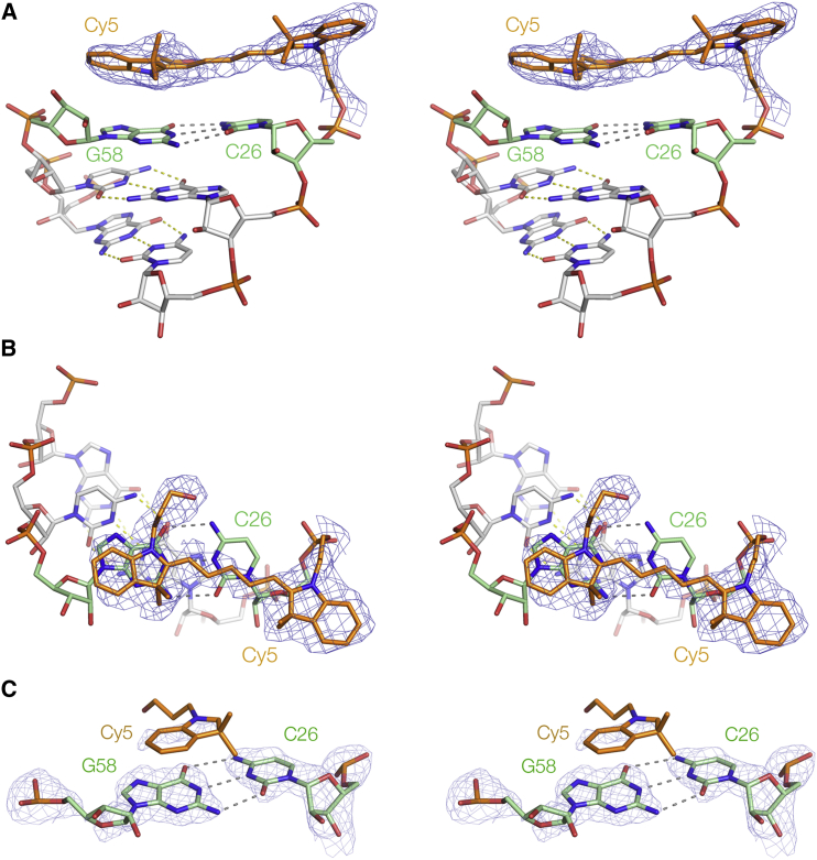 Figure 4