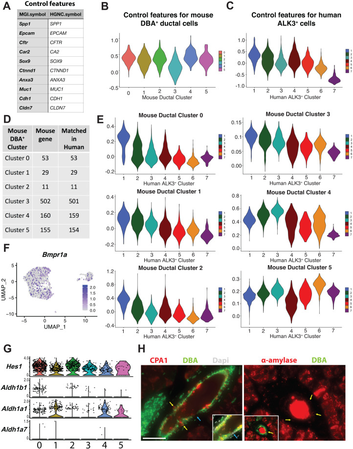 Figure 3—figure supplement 3.