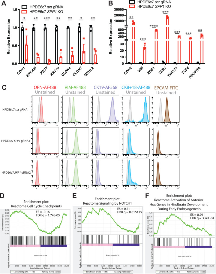 Figure 6—figure supplement 1.