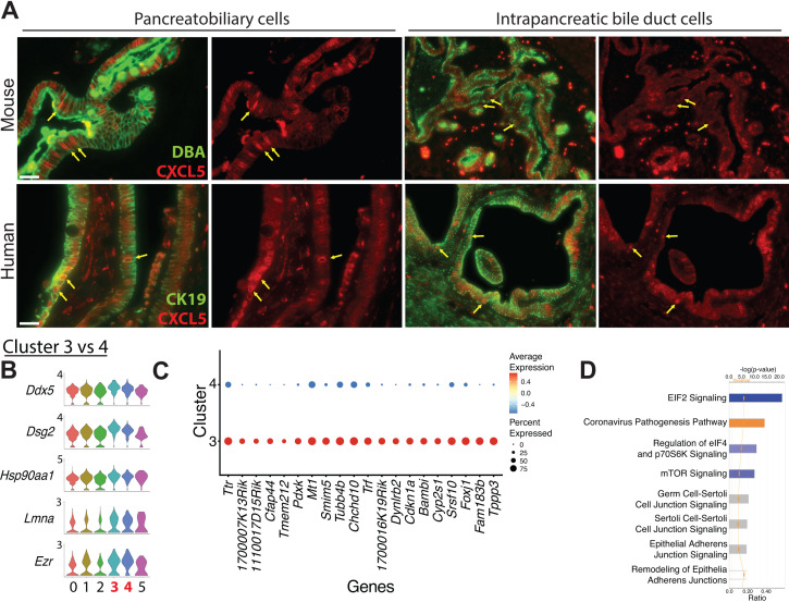 Figure 2—figure supplement 3.