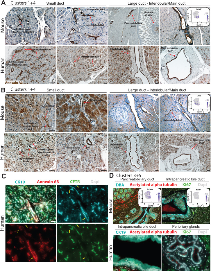 Figure 2—figure supplement 2.