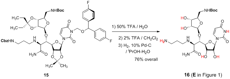 Scheme 1