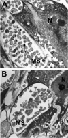 FIG. 2.