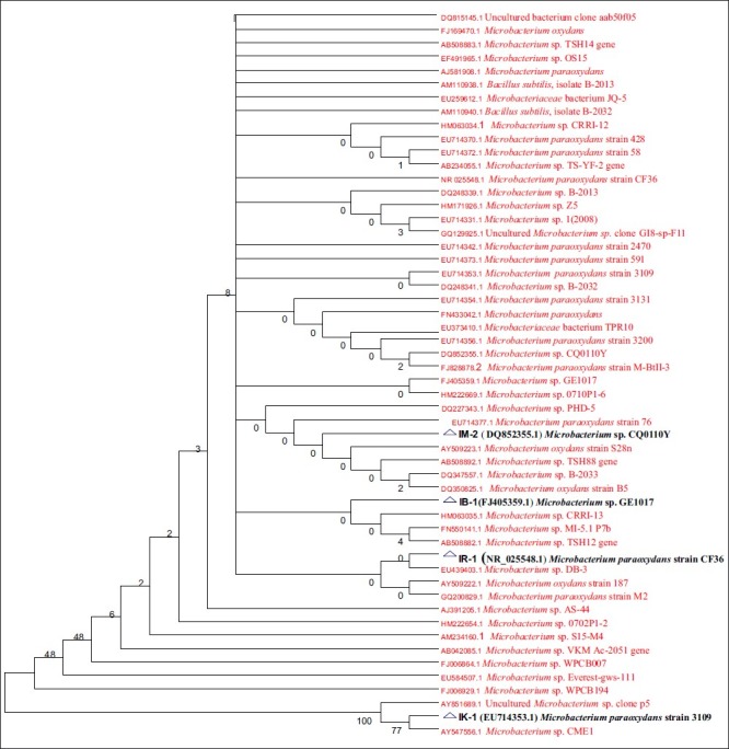 Figure 2