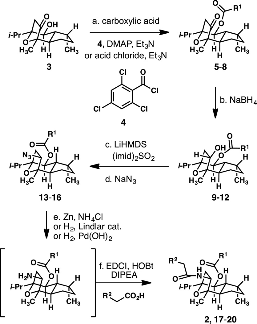 Scheme 1