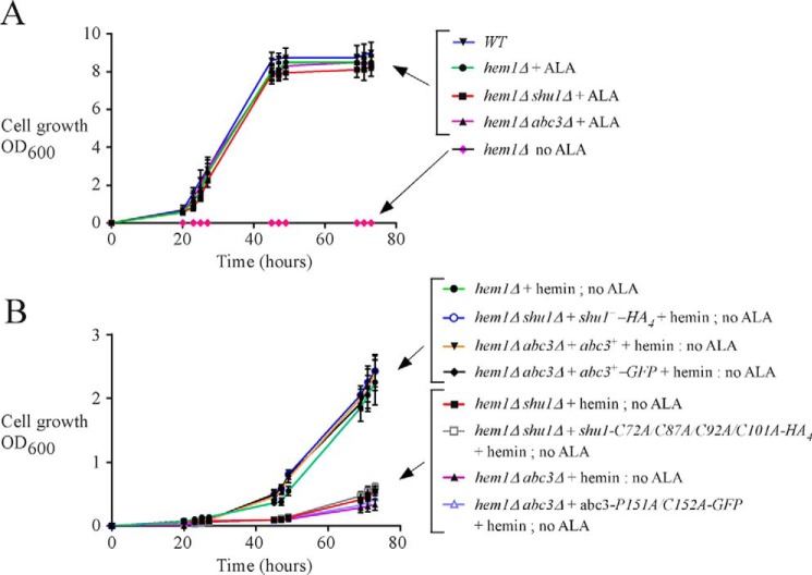 FIGURE 5.