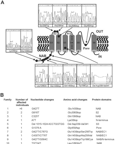 Figure  3. 