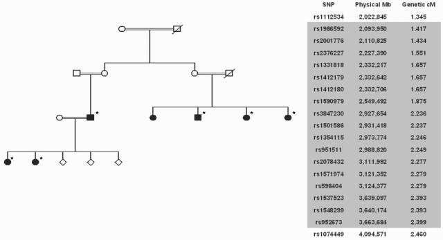 Figure  2. 