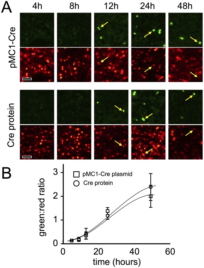 Figure 7