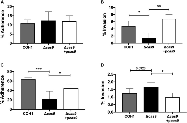 FIGURE 3