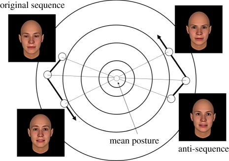 Figure 3.