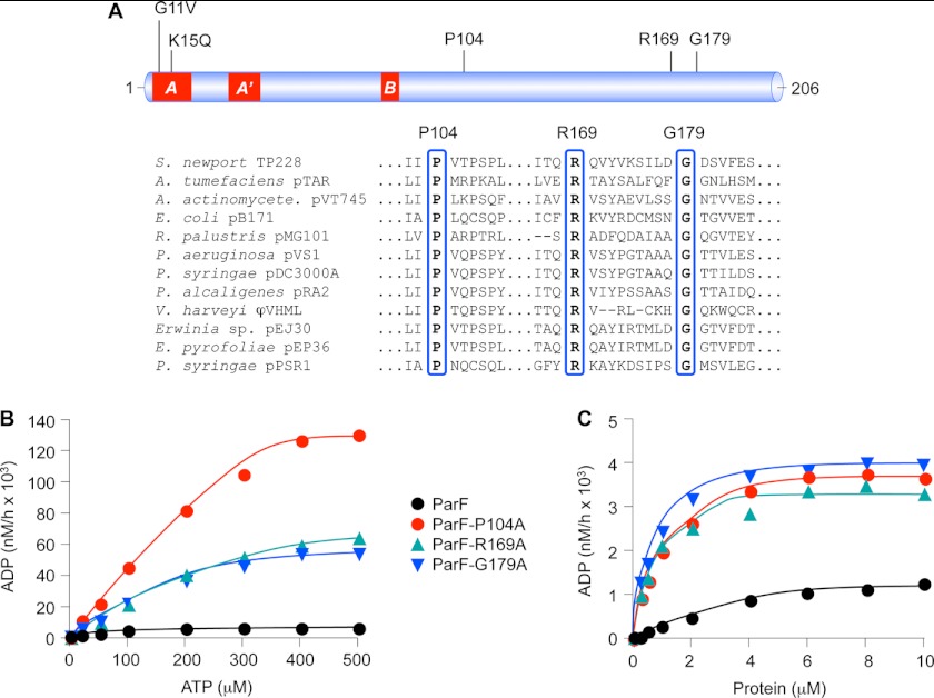 FIGURE 1.