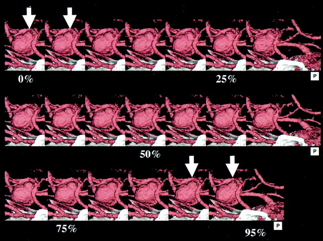 Fig 1.