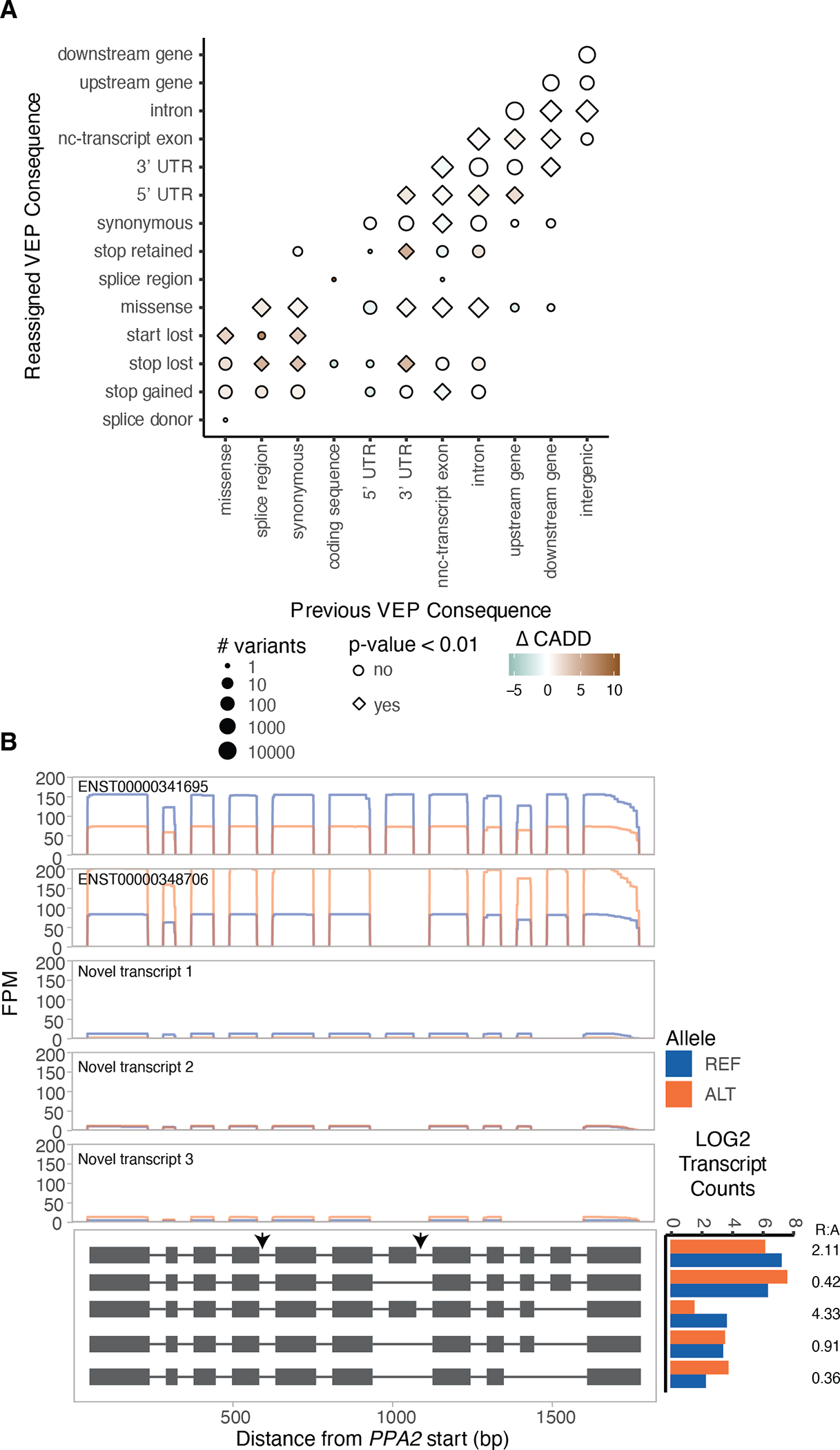 Figure 4: