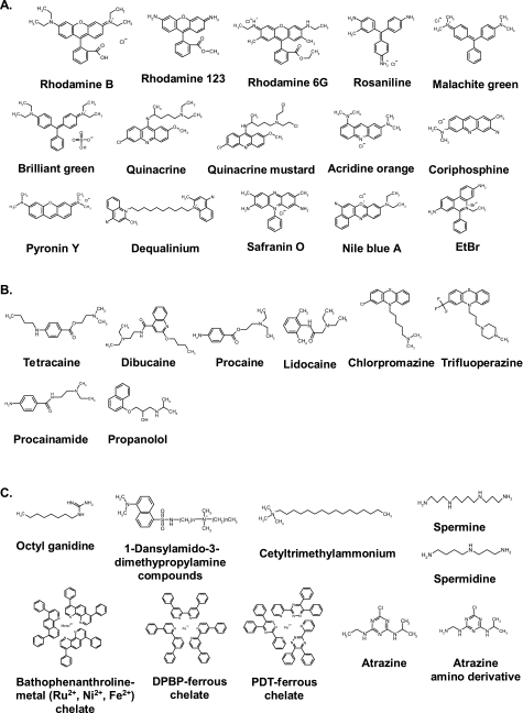 FIG. 7.