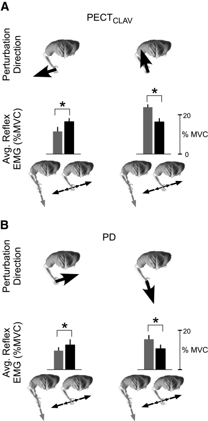 Fig. 9.