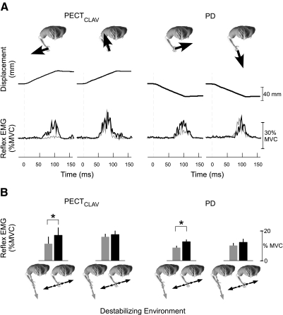 Fig. 8.