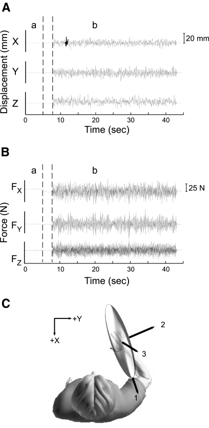 Fig. 2.