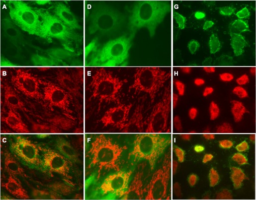 Fig. 9.