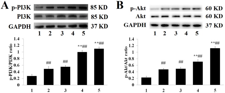 Fig 7