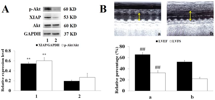 Fig 8