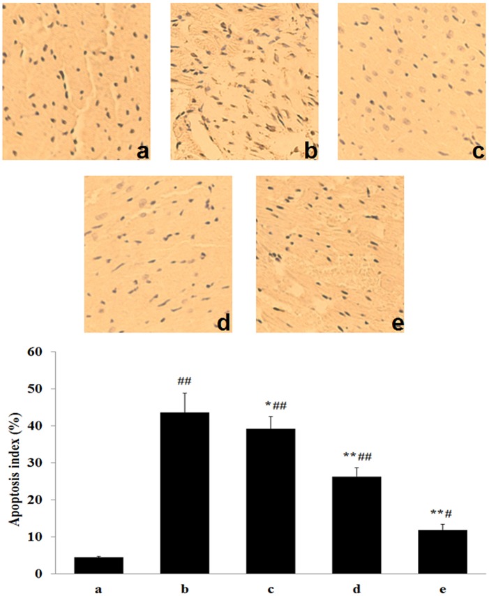 Fig 5